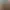 Холоп 3